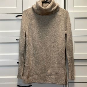 Banana Republic Turtleneck Sweater